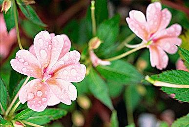 虚幻5引擎打造《上古卷轴5》晨星城 风景太美丽